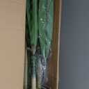 Artificial Dracaena Tree 5ft, Tall Fake Dracaena Plants with White Planter, Faux Dragon Tree Indoor Floor Plant for Home Decor Office Living Room Porch Housewarming, 1Pcs