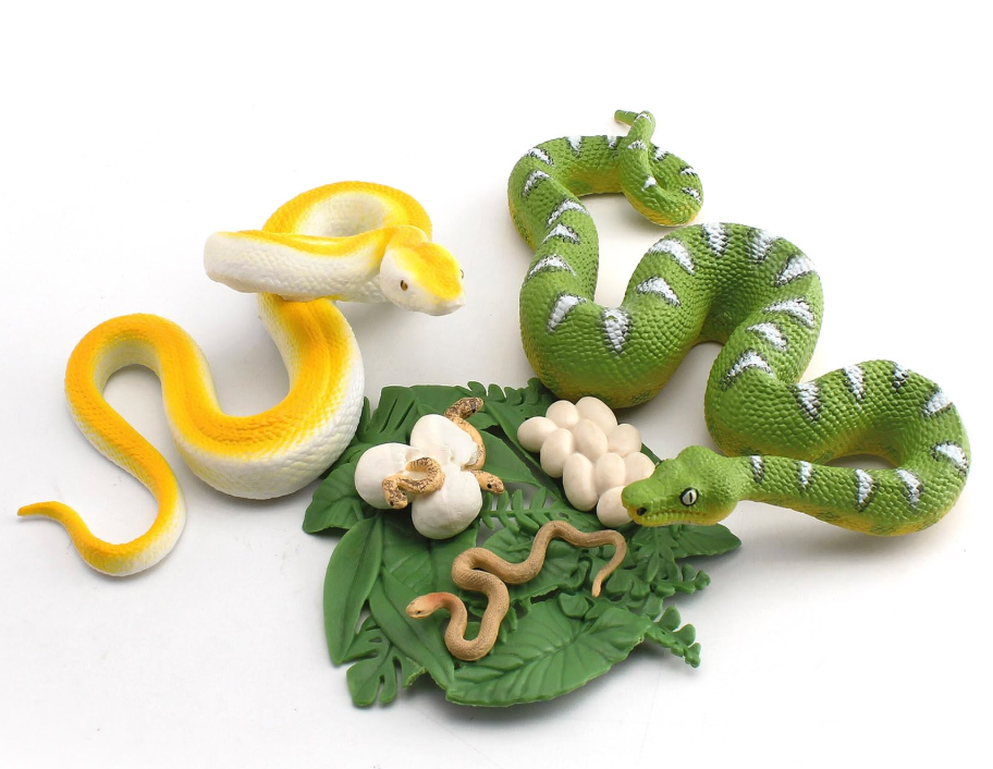 6PCS 6.5Inch Plastic Realistic Emerald Tree Boa Constrictor Figurine Python Figurine Solid Snake Figures Cobra Life Cycle With Leaves Diorama Supplies Party Favors Cake Topper For Boys Girls Kid