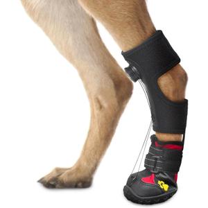 Drop Foot Brace with Reel(No Knuckling Boot Brace) for Dog - Corrective Dog Shoes to Safely Lift Toes for Foot Issues, Arthritis, and improving Walking gait in Dogs,Patent Pending(S)
