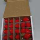 Novelty Lights Ceramic Christmas Replacement Bulbs - Outdoor Individual Bulbs for Events, Holiday Parties, Patios, and More - C7/E12 Candelabra Base, 5 Watt Lights (Red, 25 Pack)