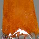 THARAHT Orange Ostrich Feathers 24pcs Natural Bulk 10-12Inch 25cm-30cm for Crafts Wedding Party Centerpieces Halloween and Home Decoration Feathers