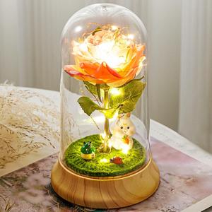 2 x Pink Roses from Daughter for Mom Mothers Day, Beauty and The Beast Rose, with LED Light Up Rose in Dome, for Wife Grandma Christmas Day Valentine Day Birthday for Her Gift (1 Pink Rabbit)