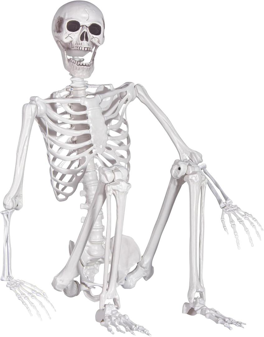 Halloween Skeleton, Realistic Life Size Skeleton with Movable Joints for Halloween Party Haunted House Indoor Outdoor Decoration (5.4ft-1P)