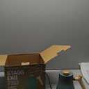 Fellow Stagg EKG Pro Electric Gooseneck Kettle - Pour-Over Coffee and Tea, Quick Heating, Precise Temperature Control, Scheduling, Built-in Brew Timer, Smoke Green with Maple Wood Handle, 0.9 Liter