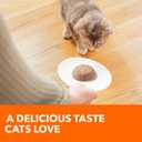 IAMS Perfect Portions Healthy Kitten Grain Free Wet Cat Food, Wet Cat Food Pate Recipe, Chicken Recipe, 2.6 oz. (24 Twin Packs) (EXP 03/26/28)