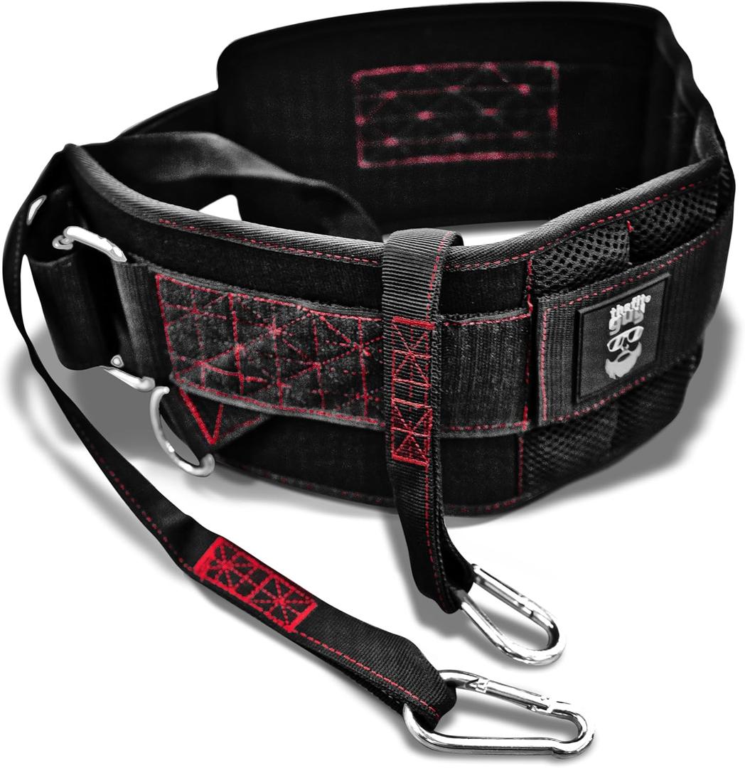 Ultimate Dip Belt | Secure Closure - No Sliding Down | Structured Back Support | 45-Angle Rings - Comfort Dip Position | 40 Strap & 2 Snap Hooks - for Dips, Pull Ups, Squats, Weight Lifting