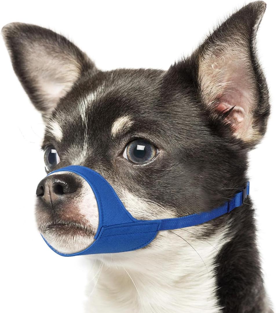 Mayerzon Short Snout Dog Muzzle for Small Medium Dogs, Soft & Sturdy Fabric, Anti Excessive Biting Chewing, Suits Chihuahua Shih Tzu Maltese for Grooming Vet Visits Walk, Allows Drinking(Blue, XS) (XS [Snout Cir: 5.5-6.25"])
