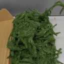 9Ft Christmas Garland, Real Touch Norfolk Pine Garland Realistic Christmas Artificial Garlands Faux Greenery Garland for Stairs Table Mantle Fireplace Indoor Outdoor Decor