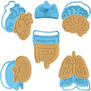 Anatomy set of 5 Cookie Cutters with Stamp by Moose Goods  Cookie Stamps  Educational Human Body Cookie Cutter Set for Bakers, Parents, Teachers & Kids  Eco-Friendly & Easy to Use