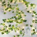 YOUNGAR Ivy Vines with Fairy Lights,Leaf String Warm White Lights Battery/USB Operated,23FT 73LED Fake for Bedroom Wall Room Wedding Birthday Garden Party Wall Room Decor