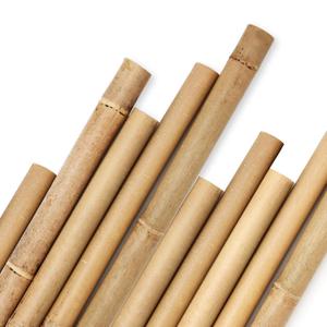 Bamboo Stakes 8 Feet, Diameter of 1 Inch Thicker Garden Stakes, Natural Plant Stakes for Tomatoes, Cucumbers, Grape Vine Climbing Plants Support and Natural Decoration - 10 Pack Bamboo Poles