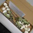 Floroom 5pcs Beige Faux Silk Mums Artificial Flowers, Bulk Fake Small Mini Chrysanthemums with Stems for DIY Champagne Wedding Centerpieces Floral Arrangements Vase Fillers Home Decorations