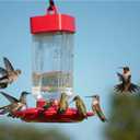 Kaytee Hummingbird ElectroNectar Wild Bird Food, Ready to Use, 64 Ounces (64 Fl Oz (Pack of 1))