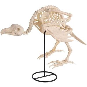 JOYIN Vulture Skeleton Halloween Decorations 19.7 inch Posable Animal Skeletons with Movable Joints for Indoor Outdoor Yard Garden Lawn Photo Props Decor, Trick or Treat, Spooky Scene Party Favors