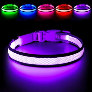 Flashseen LED Dog Collar, Light Up Dog Collar USB Rechargeable, Brightest Dog Lights for Night Walking, Adjustable Dog Collar Light for Dog Safety (Purple, Small)