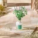 Airkeep Reed Diffuser Set,3.38 fl oz (100 ml) - Pure Gardenia Oil Diffusers with 8 Reed Sticks, Home Fragrance Reed Diffuser for Bathroom Shelf Decor