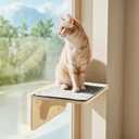 Pecute 2-in-1 Cat Window Perch & Wall Shelves, Cat Hammock Window with Solid Wood, Strong Suction Cup, Washable Cover Mat, Kitten Window seat Indoor, Cats Perch Bed for Birds Watching Inside,16"x10"