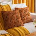 Pumpkin Fall Decorative Throw Pillow Covers 20"x20", Set of 2 Rust Green Soft Faux Fur Pillow Covers for Autumn Harvest, Fluffy Plush Accent Pillow Cases for Farmhouse Halloween Decor