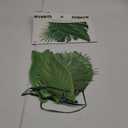 Tropical Palm Leaf Garland Party Decorations, Length 2.6M, 8.5 FT, Green