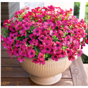 Artificial Flowers for Outdoor Indoor Garden Home Decoration, Plastic Faux Flowers, Faux Flower Daisy with Eucalyptus Leaves Fake Plants Greenery Boxwood Porch Patio, Decorative Faux Flower Daisy (E)