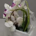 Large Artificial Potted Orchid Plant, Silk Flower Arrangement with Ceramics Vase, White