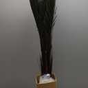 Nearly Natural 3ft Cycas Indoor/Outdoor UV Resistant Tree, Green