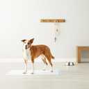 Amazon Basics Leak-Proof Dog and Puppy Potty Training Pee Pads with Quick-Dry 5-Layer Surface, Standard Absorbency, Giant Size, 27.5 x 44 Inch, Blue & White, 40-Pack