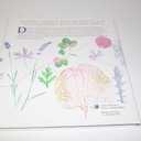 Nature Printing With Herbs, Fruits & Flowers