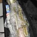 LeSage Bb Standard Trumpet Set for Beginner, Brass Student Trumpet Gold