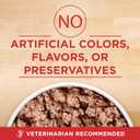 Purina ONE Plus Classic Ground Vibrant Maturity Adult 7 Plus Turkey And Barley Entree Senior Dog Food - (Pack of 12) 13 oz. Cans (EXP 04/22/28)