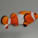 Potaroma Cat Toys Flopping Fish with SilverVine and Catnip, Moving Kitten Kicker, Floppy Wiggle Clownfish for Small Dogs, Motion Kitty Interactive Exercise, 10.5 Inches