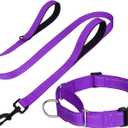 FunTags Reflective Martingale Collar for Dogs, Quick Release Buckle, 5FT Double Handle Dog Leash Padded, Dog Collar and Leash Set, Adjustable for Medium Dogs (Purple, M)