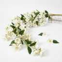 Bgzdxhxyr 6 Pcs Artificial Lily of The Valley, Long Stem Flowers for Tall Vase,Fake Wind Chime Orchid Wedding Bouquet for Home Garden Wedding Party (White)