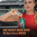 5 x Gatorlyte Powder Watermelon, 16.9oz (Pack of 6) (0.53 Ounce (Pack of 6))