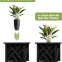 Pure Garden Lattice Design Planter Box - 15.5"D x 15.5"W x 16.5"H - Square Decorative Outdoor Flower or Plant Pot - Front Porch, Patio, and Garden Decor (Black)