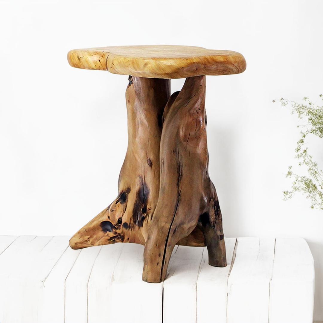 WELLAND Natural Tree Stump Stool, 19'' Tall Side Table, Live Edge Stool, Natural Edge End Table, Accent Table, Plant Stand for Living Room, Bedroom 