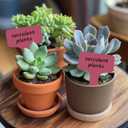 2 x Plant Labels 200 Pcs Yuanling T-Type Plastic Garden Tags Waterproof Plant Sign Stakes Nursery Garden Makers for Seedlings Flower Vegetables Herb Potted Belt Permanet Marker Pen (Red)