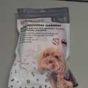 BellyGuard Recovery Suit for Dogs, Comfy Dog Surgery Suit, Female Spay and Male Neuter Onesie for Post-Op Care (Large, Grey)