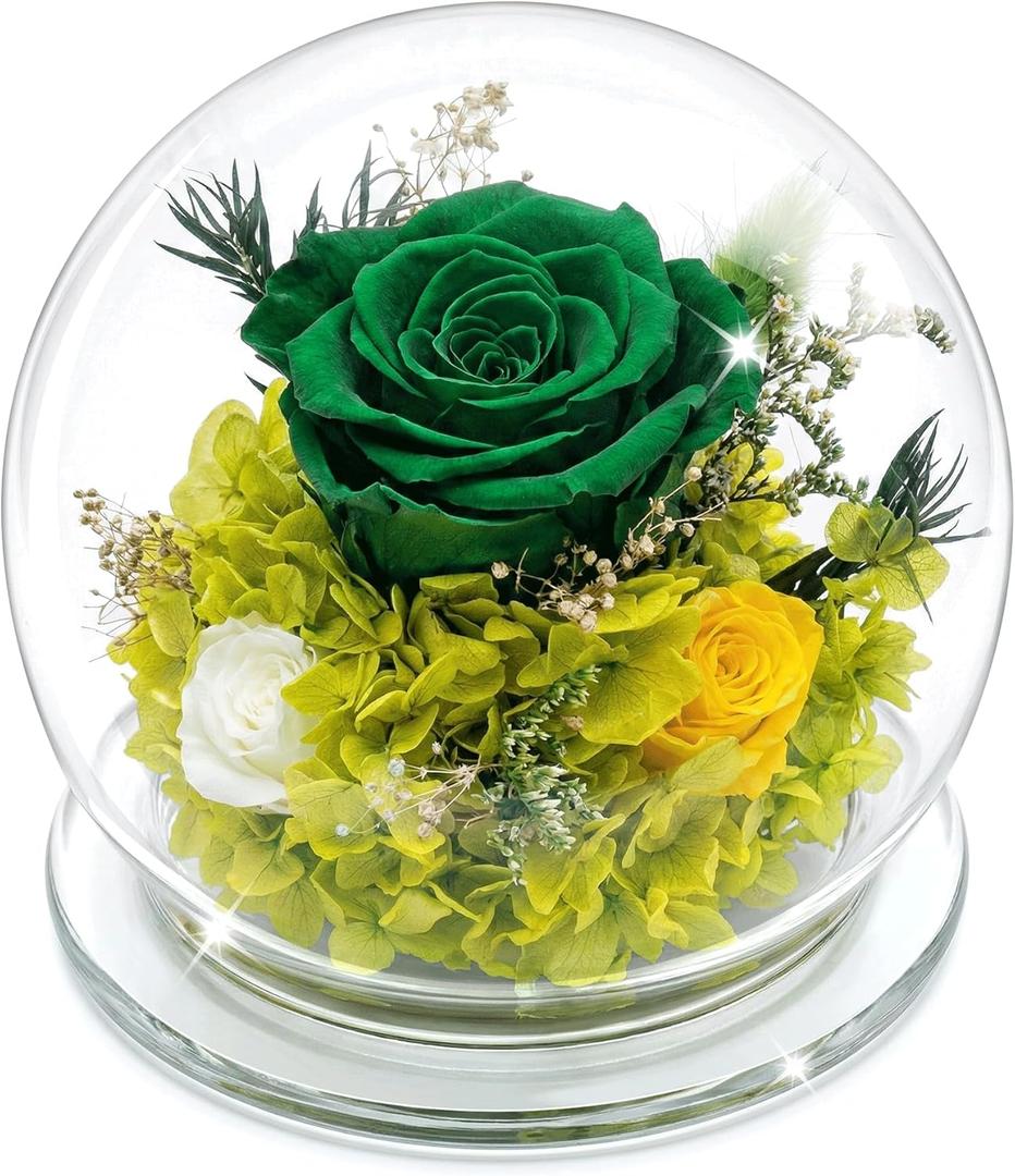 Mothers Day Birthday Gifts for Her Women Preserved Rose Forever Flower in Glass Dome Fresh Flowers Prime Valentines Day Anniversary Rose for Girlfriend Wife Sister Grandma (Green)