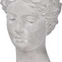 A & B Home Gray Young Girl Bust Planter Indoor Outdoor Dcor Cement Pot Beautiful Woman Face Greek Sculpture Flower Hair 7" x 7" x 11"