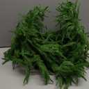 WBHome 9ft Real Touch Norfolk Pine Christmas Garland, Winter Greenery Garland for Christmas, Holiday Seasonal Outdoor/Indoor Home Decor, 9FT Long