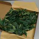 Ling's Moment Rosa Banksiae Artificial Vines, Pack of 7 Silk Greenery Garlands with Hanging Faux Laurel Leaves for Table Centerpieces, Wedding Arches & Floral Filler Arrangements