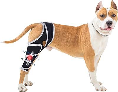 Dog Knee Brace for Torn Acl Hind Leg, Relieves Ligament Injury and Joint Pain, Adjustable Leg Support Bracket for Warmth and Support, Universal Dog Knee Brace for Four Legs(XL)