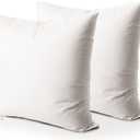 EDOW Throw Pillow Insert, Set of 2 Down Alternative Polyester Square Form Decorative Pillow, Cushion,Sham Stuffer. (White, 20x20)