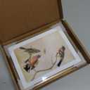 6x8 Picture Frame, Brass Aluminum Metal Photo Frames with HD Glass, Fits 5x7 with Mat or 6 x 8 without Mat, Display for Wall and Table