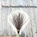 17 Inch Natural Birch Branches Dried Birch Twigs Wreath Making Supplies Dried Plants for Rustic Home Decor Easter Stems Vase Filler DIY Crafts Vases Tall Wreath Christmas Decoration Wedding (30Pcs)