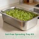 2 Pack Stainless Steel Seed Sprouter Tray Kit, Soil-Free Microgreens Growing Trays with Fine Mesh Insert, Stackable Germination Containers for Beans, Broccoli, Alfalfa, Wheatgrass, Cat Grass,20 X 12