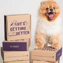 LE TAUCI Ceramic Slow Feeder Dog Bowls Small Breed, 0.6 Cups Dog Food Dish for Fast Eaters, Puzzle Bowl for Small Dogs and Cats,Purple