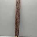 ECOVENIK 25 psc - Branches - 73 cm, Natural Birch Twigs, Pack of 20-25 Stems, Long for Floor vases, (Natural-Brown Color )