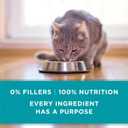 Purina ONE Natural, High Protein, Grain Free Wet Cat Food Pate, Beef Recipe - (Pack of 24) 3 oz. Pull-Top Cans (EXP 03/01/28)